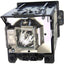 REPL LAMP EIKI AH-55001        