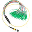 Fluke Networks 1 m Breakout Cord for SM MPOAPC Unpinned SCAPC Connector