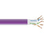 1000-FT VIOLET CAT6 SOLID BULK 