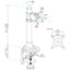 StarTech.com Single Monitor Desk Mount Height Adjustable Monitor Mount Up to 34