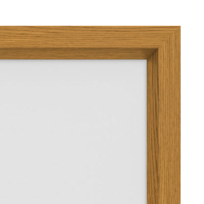 Da-Lite Cinema Contour 123" Fixed Frame Projection Screen