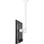 Atdec ceiling mount for large display long pole - Loads up to 143lb - White - Universal VESA up to 800x500