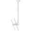 Atdec ceiling mount for large display long pole - Loads up to 143lb - White - Universal VESA up to 800x500