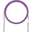 1PK 12FT CAT6 VIOLET           