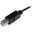 3FT USB C TO USB B PRINT CABLE 