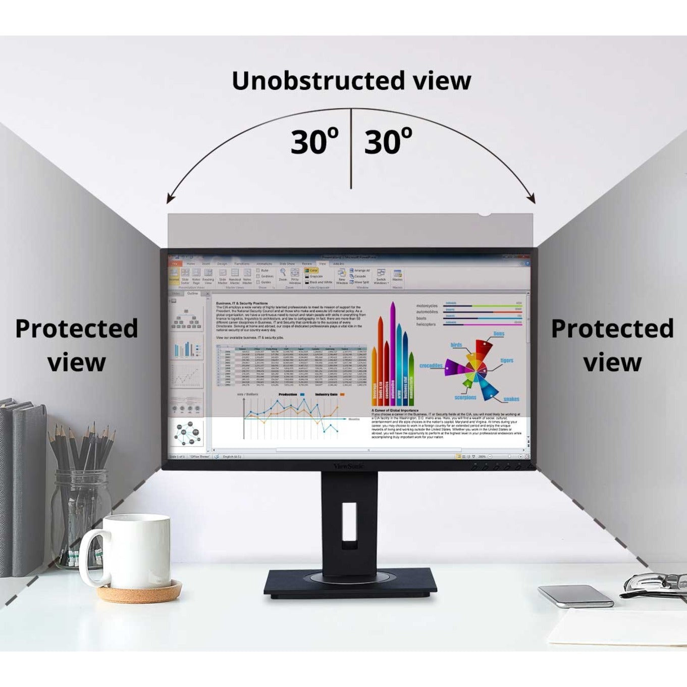 Viewsonic Privacy Screen Filter