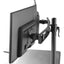 Kantek Mounting Arm for Monitor - Black