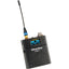 WRLS BELTPACK TRANSMITTER RF   