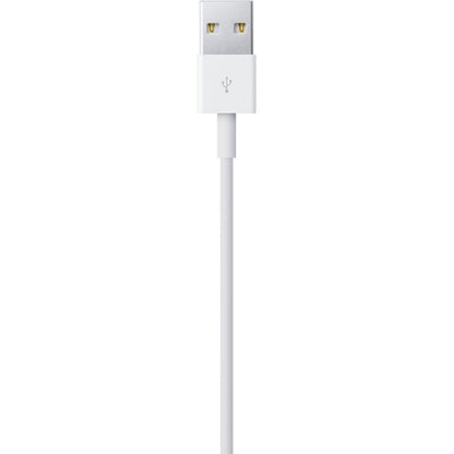 Apple Lightning to USB Cable (0.5 m)