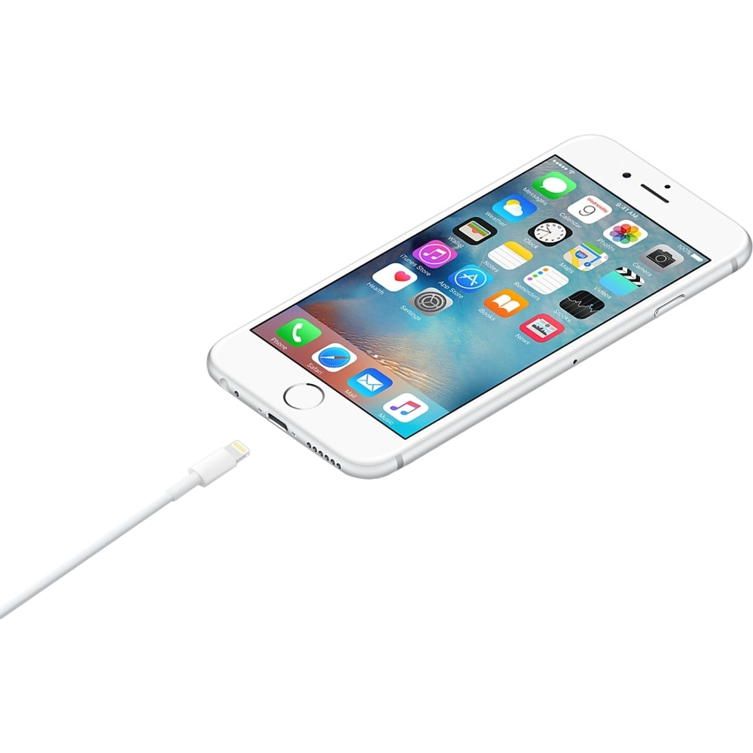 Apple Lightning to USB Cable (0.5 m)