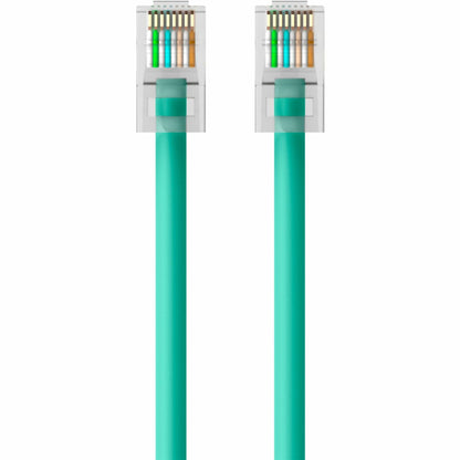 Belkin CAT6 Ethernet Patch Cable RJ45 M/M