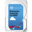 40PK 2TB EXOS 7E2000 ENT CAP   