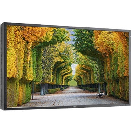 NEC Display 55" LED Backlit High Brightness Display