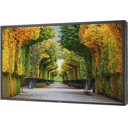 NEC Display 55" LED Backlit High Brightness Display