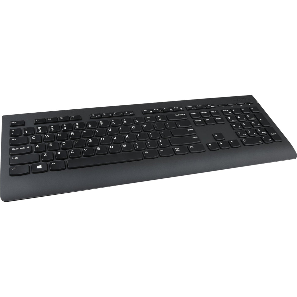 Lenovo Professional Wireless Keyboard and Mouse Combo