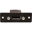 Wiremold Display Port Female to One Display Port Female on 10