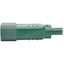 Tripp Lite PDU Power Cord C13 to C14 10A 250V 18 AWG 2 ft. (0.61 m) Green