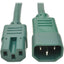 Tripp Lite Power Cord C14 to C15 Heavy-Duty 15A 250V 14 AWG 2 ft. (0.61 m) Green