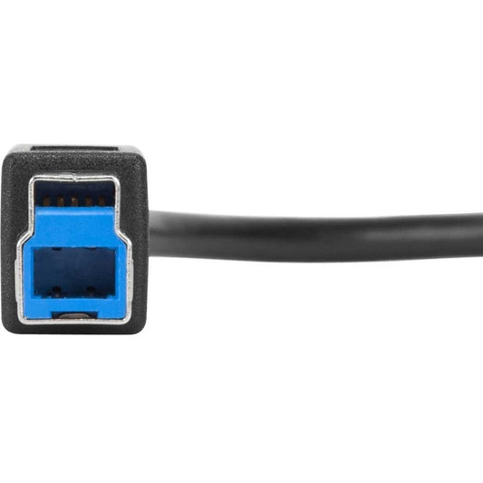 1M USB-C TO USB-B 10GBPS CABLE 