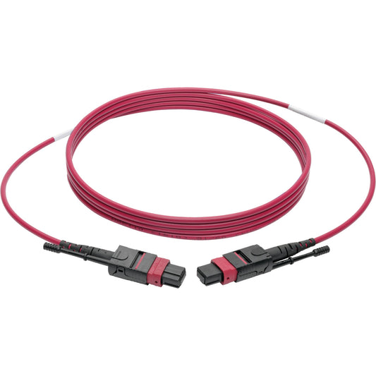 Tripp Lite 100G MTP/MPO Multimode OM4 Plenum-Rated Fiber Optic Cable (F/F) 12 Fiber 40/100GBASE-SR4 Push/Pull Tabs Magenta 1 m