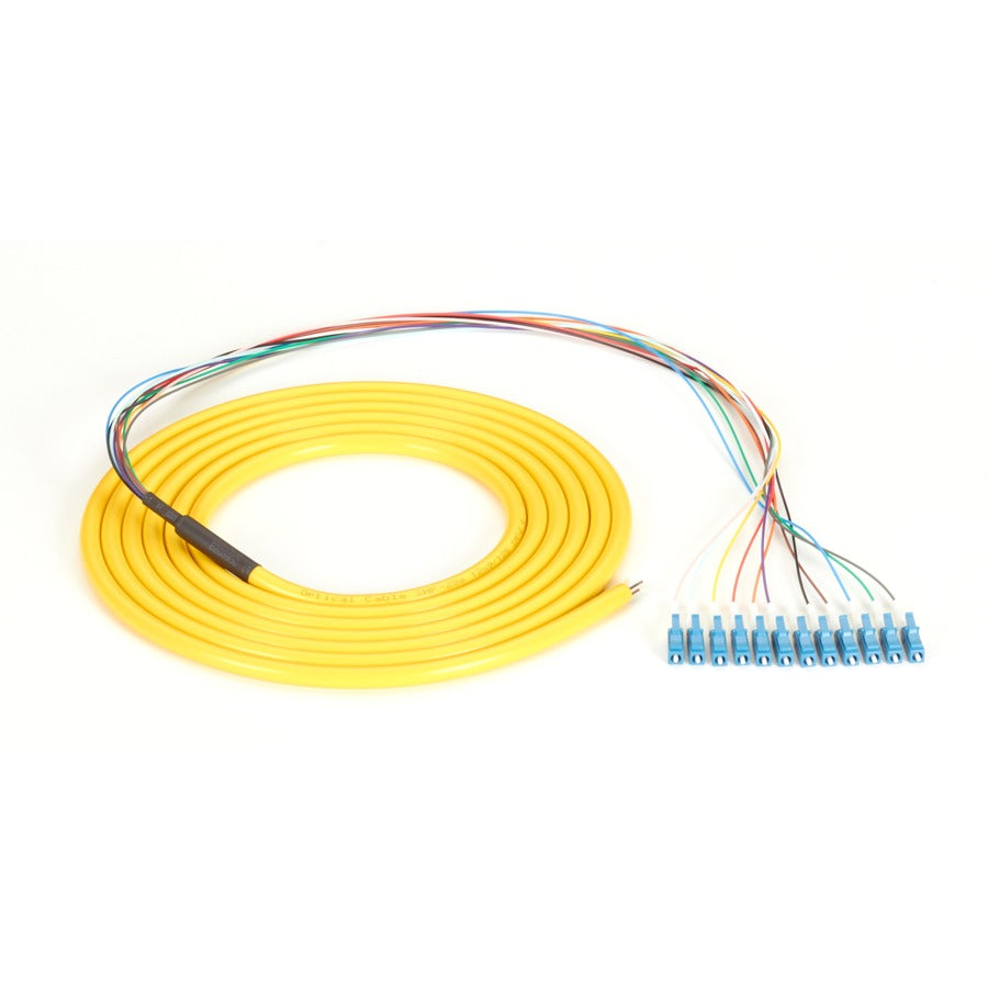 Black Box OS2 9-Micron Single-Mode Fiber Optic Pigtail - 12-Strand OFNR PVC