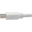 Tripp Lite Keyspan Mini DisplayPort to DisplayPort Adapter Cable (M/F) 4K 60 Hz DP 1.2 HDCP 2.2 10 ft. (3.1 m)