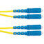 Panduit Opti-Core Fiber Optic Duplex Patch Network Cable