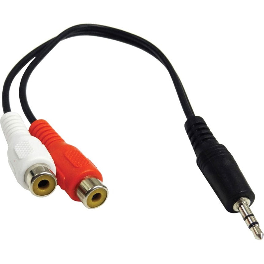 Accortec 6-inch 3.5mm Stereo to 2 x RCA Stereo Female Y-Cable