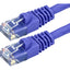 Monoprice Cat6 24AWG UTP Ethernet Network Patch Cable 100ft Purple