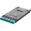 HDFLXSPLCE OS2 12PTG 12SLV 6PTL