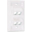 Panduit Faceplate