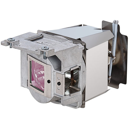 Viewsonic RLC-111 Projector Lamp