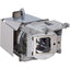 Viewsonic RLC-111 Projector Lamp