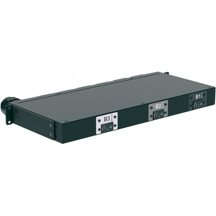 Panduit P06B48M Horizontal Basic Power Distribution Unit