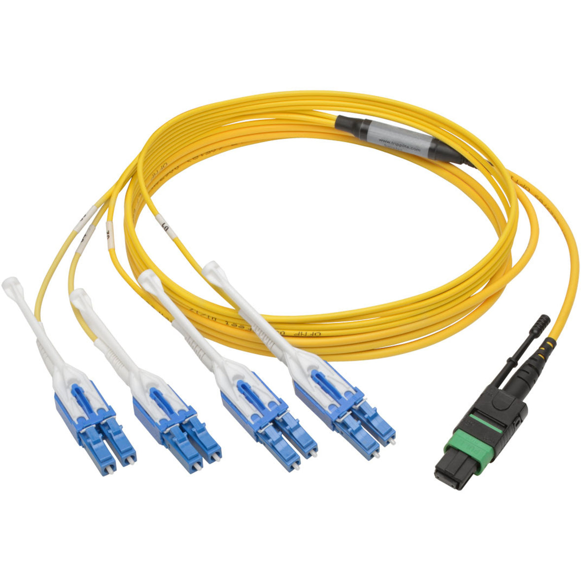 Tripp Lite MTP/MPO (APC) to 4xLC (UPC) Singlemode Breakout Patch Cable 40/100 GbE QSFP+ 40GBASE-PLR4 Plenum Yellow 2 m (6.6 ft.)