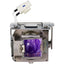 PROJECTOR REPLACEMENT LAMP FOR 