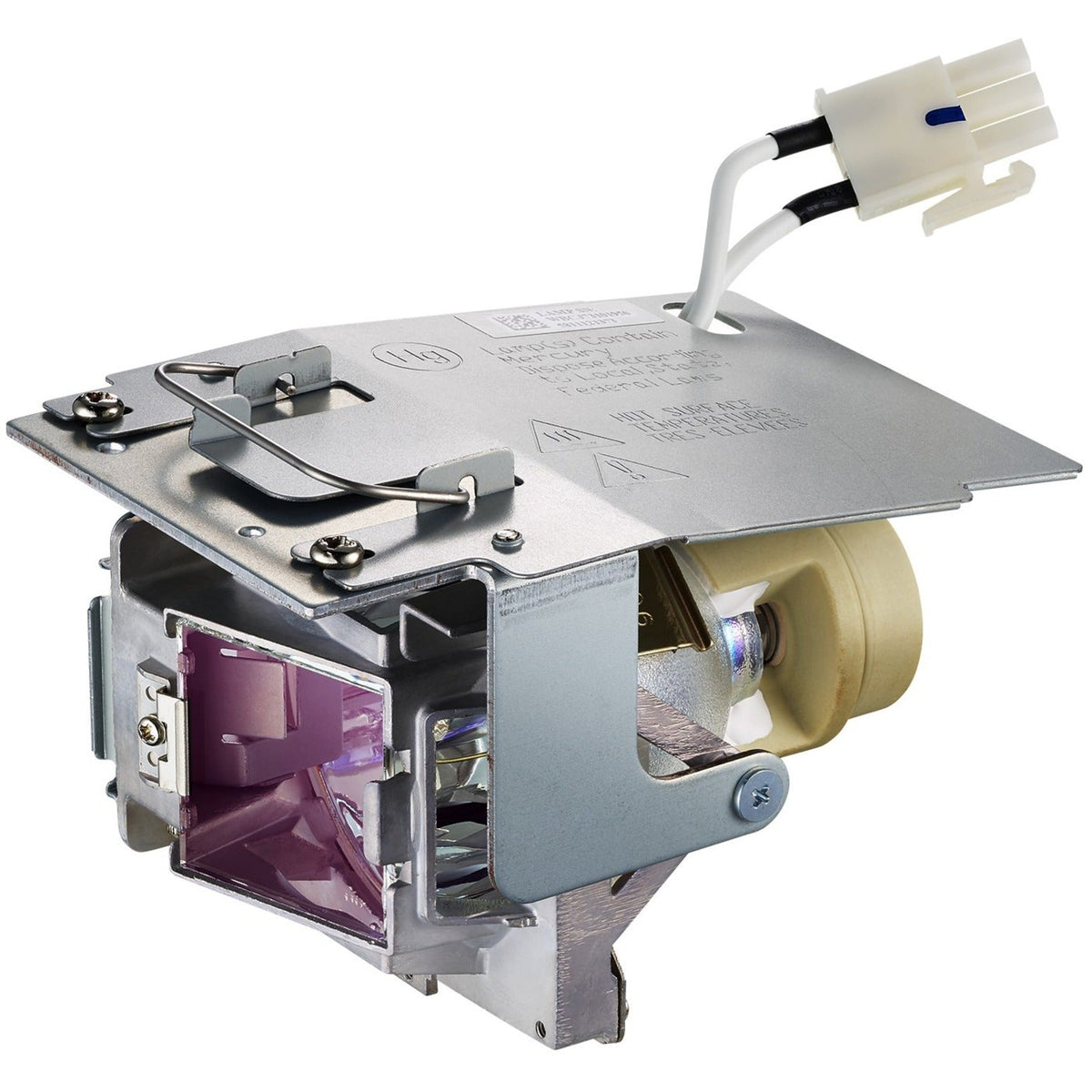 Viewsonic RLC-110 Projector Lamp