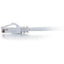 C2G-125ft Cat6 Snagless Unshielded (UTP) Network Patch Cable - White
