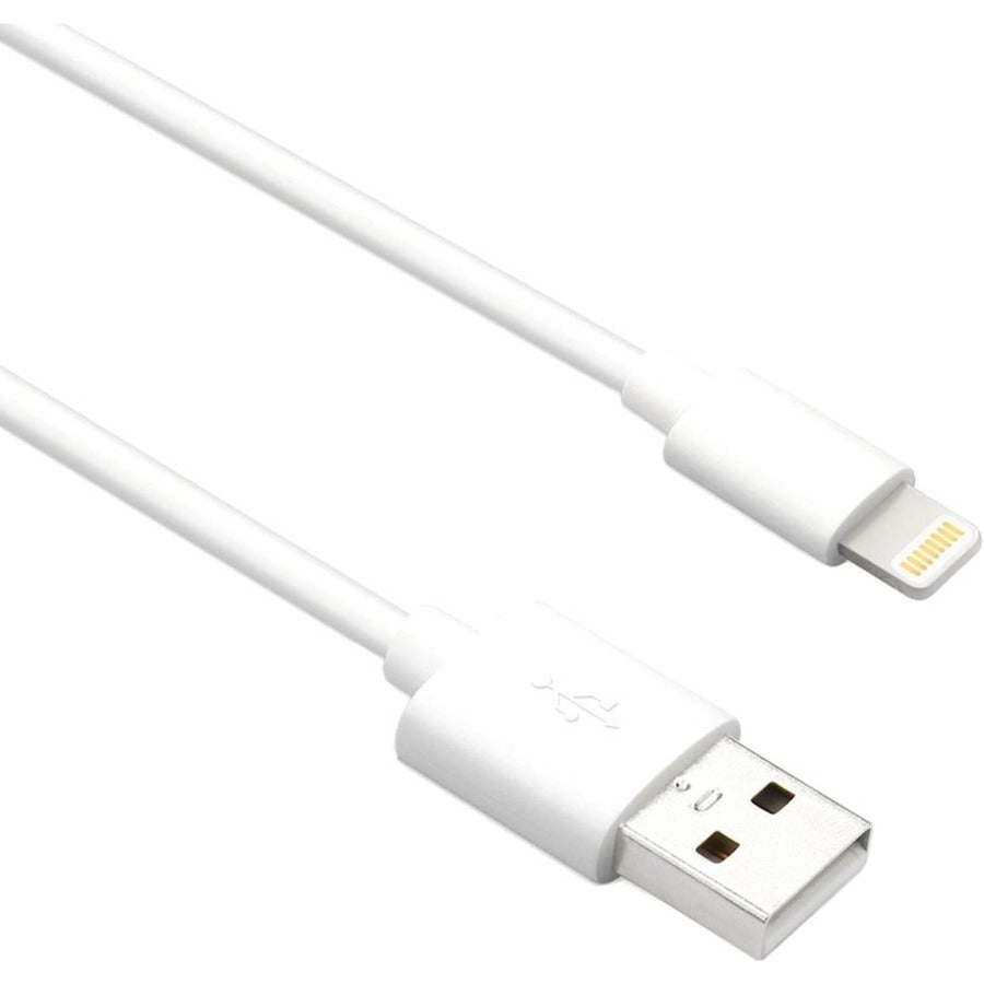 3FT LIGHTNING TO USB A M/M     