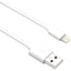 3FT LIGHTNING TO USB A M/M     