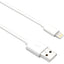 6FT LIGHTNING TO USB A M/M     