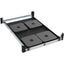 Rack Solutions 1U Mini Rack Access Tool-Less Shelf for Four Apple Mac Mini with USB