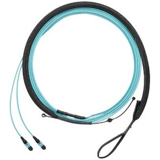 OM3 12F HARNESS OFNP PANMPO    