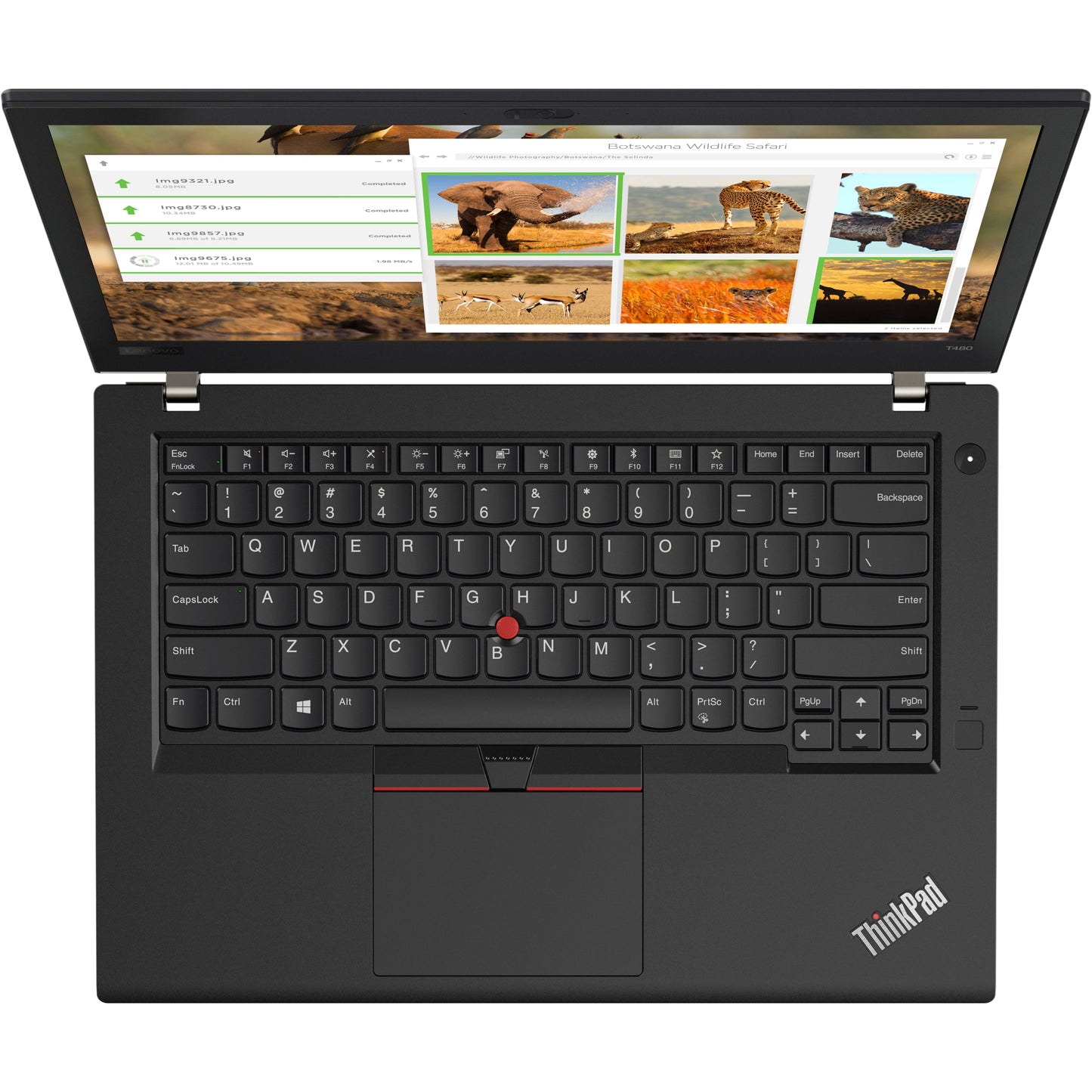 Lenovo ThinkPad T480 20L6S5VP00 14" Touchscreen Notebook - 1920 x 1080 - Intel Core i5 8th Gen i5-8350U Quad-core (4 Core) 1.70 GHz - 16 GB Total RAM - 256 GB SSD