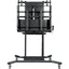 Newline iTeachSpider Display Stand