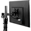 Arctic Mounting Arm for Monitor Display Flat Panel Display - Black