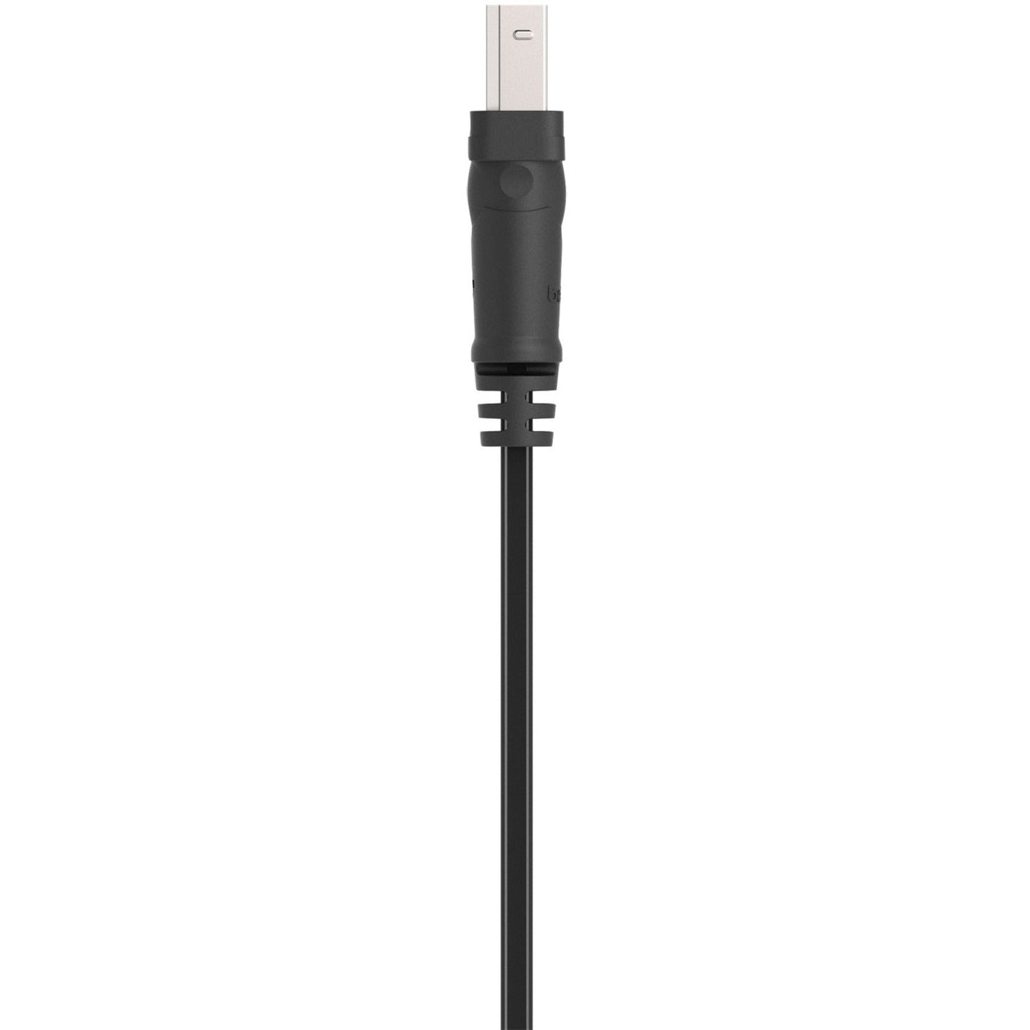 Belkin Hi-Speed USB 2.0 Cable