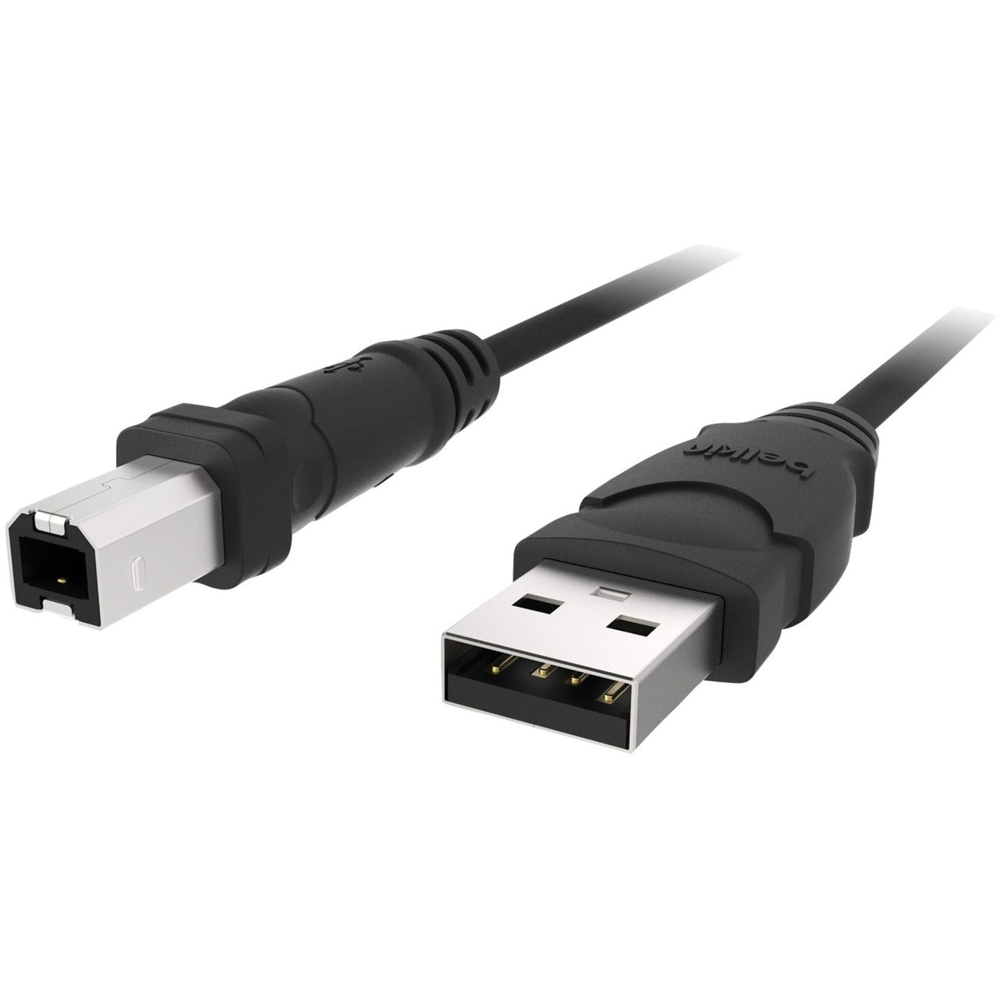 Belkin Hi-Speed USB 2.0 Cable