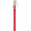 CAT5E 12 RED UTP RJ45M/M PATCH 