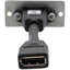 Kramer W-DP(W) Faceplate Insert